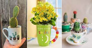 Certain species may be easier than others to propagate. 8 Succulents You Can Grow In Teacups Coffee Mugs