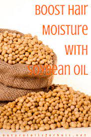 It is known to be one of the best natural ingredients to combat premature aging and the prevention of fine lines. Soybean Oil For Hair