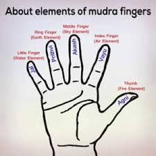 Rub the nails of the eight fingers against each other for 5 to 10 minutes for 30 days. Yoga Mudras Hast Mudras And All Its Benefits Nexoye