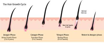 Hair Loss In Men And Women Diagnosis And Treatment Options Carefirst Specialty Pharmacy S Blog