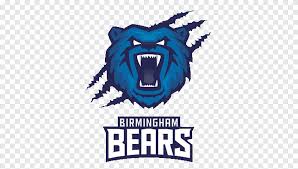 2:27 cricket united 4 394 просмотра. Edgbaston Cricket Ground Warwickshire County Cricket Club Lancashire County Cricket Club England Cricket Team 2017 Natwest T20 Blast Cricket Sport Logo Png Pngegg