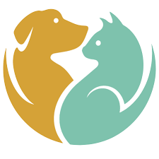 Send us info on any ohio adoptable pet and we will post it here! Pets For Adoption At Toledo Animal Rescue In Toledo Oh Petfinder