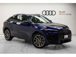 Image result for Navarra Blue 2025 Q5