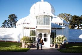 Maybe you would like to learn more about one of these? Party In The Conservatory Of Flowers Beyond The Fog