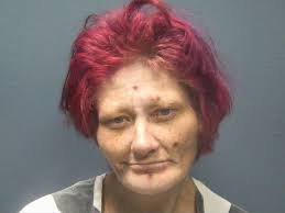 Arrest of Shannon M King for Theft of Property in Sevier County