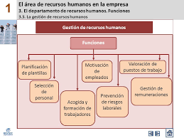* analizar la estructura y funciones del área de recursos humanos en pequeñas, medianas y grandes empresas. Funciones De Departamento De Recursos Humanos En Una Empresa