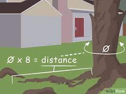 He said that trees are just as big under the ground as they are above the ground, and removing a root here and there will not affect a healthy mature tree. How To Dig Up Tree Roots 12 Steps With Pictures Wikihow