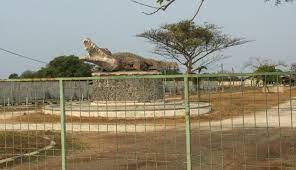Memang setiap hari adalah hari baik, namun dalam seperti yang kita ketahui bahwasanya menentukan hari baik ini bukan hanya untuk keperluan buka usaha baru saja, namun juga untuk. Taman Buaya Di Tanjung Pasir Tangerang Kompasiana Com