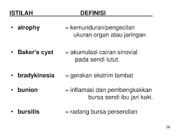 (c) tumpukan perhatian kepada zon tumpuan yang ditandakan pada hujung alat pengukur. Kkpmt I 13 Terminologi Medis Sistem Otot Muscular System Ppt Download