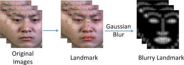 General attention. We detect the landmark of each frame (marked by...