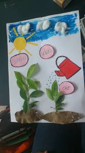 Kepentingan bahagian tumbuhan #cikgootube #cikguzoul. Blog Science Is Fun