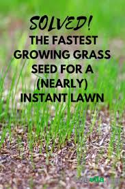 Growing your lawn from grass seed: Solved The Fastest Growing Grass Seeds For A Nearly Instant Lawn Growing Grass Grow Grass Fast Grass Seed