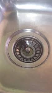 kitchen sink with cockroach picture