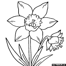 They're great for all ages. Daffodil Flower Online Coloring Page