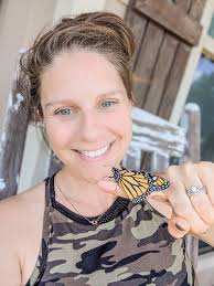 Monarch butterfly release and care update