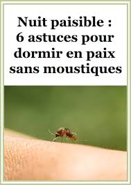 Nuit Paisible 6 Astuces Pour Dormir En Paix Sans Moustiques Astuce Pour Dormir Moustique Remede Contre Piqure De Moustique