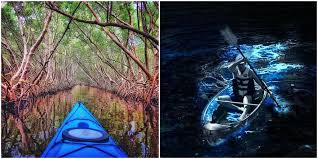 Guided tours, skip the line tickets, helicopter tours, bus tours 6 Florida Kayaking Tours With The Most Magical Nature Views Narcity