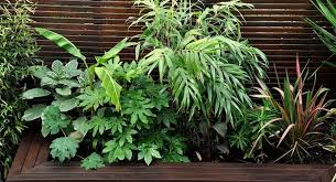 Great Garden Plans That You Can Create To Complement Your Home Simple Urban Jungle Garden Garde Tropical Garden Design Small Tropical Gardens Jungle Gardens