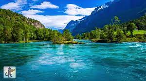 We did not find results for: 3 Hours Of Amazing Nature Scenery Relaxing Music For Stress Relief Youtube