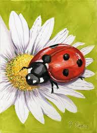 Ladybird Art For Sale Ladybug Art Daisy Drawing Flower Painting