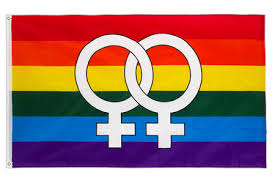 Die regenbogenfahne steht für vielfalt und respekt. Regenbogenflaggen Und Lgbt Flaggen Online Kaufen