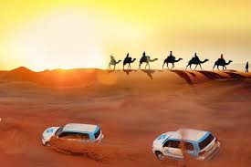 Enjoy evening desert safari with the best tour guide and deals in dubai, organize all types of desert safari packages, licensed desert safari dubai tourism. Spacetraveller Activity Evening Desert Safari With Camel