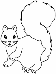Acest blog vine ca un ajutor in intampinarea cadrelor didactice. Squirrel6 Animals Coloring Pages Coloring Page Book For Kids
