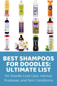 In addition to this, vet's best also makes a medicated oatmeal shampoo, allergy itch relief shampoo, and hot spot treatment shampoo, as well as a waterless dog bath spray. Best Dog Shampoo Ultimate List For Doodle Coat Care Various Purposes