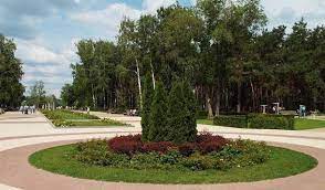 История возникновения зеленой зоны на берегу воронежского водохранилища. Park Alye Parusa Voronezh Kak Doehat