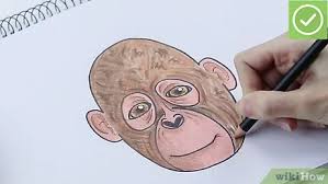 Now draw a small circle for a monkey nose. 3 Ways To Draw A Monkey Wikihow