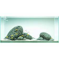 Water Wabikusa Watertank Waterplants Tropica Twinstar Takashiamano Iwagumi Instafish Instaperfect Picoftheday Pl Ikan Akuarium Akuarium Ikan Cupang