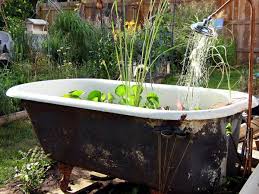 Für kleinere kinder bietet solch eine wanne. Mini Gartenteich Bauen Kleine Oasen Im Garten Oder Auf Dem Balkon Gartenteich Bauen Wasserspiel Garten Badewanne Garten