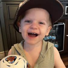 Landscape mowing company for 2.5 acres in Inglis?