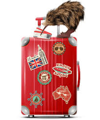 Are you protected when you travel? Travel Insurance Compare Cheap Quotes Online