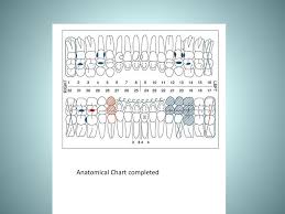 Ppt Dental Charting Powerpoint Presentation Free Download