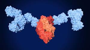 Image result for Nirsevimab