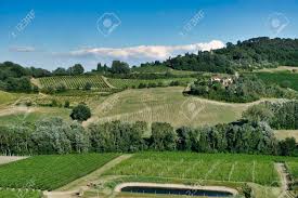 L'impressionnant accrochage entre bottas et russell (vidéo). Paysage De Campagne Entre Imola Bologne Et Riolo Terme Ravenne Emilie Romagne Italie En Ete Vignobles Banque D Images Et Photos Libres De Droits Image 86412073