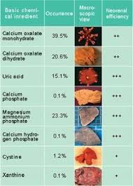Types Of Kidney Stones Calculos Renales Imagenes De Medicos Vias Urinarias
