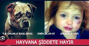 TUTUKLANDI ŞEREFSİZ! AMA... Hatırlıyor musunuz küçük Ceren'i katleden katil  “İstanbul'dayken kedilerin başını taşla eziyordum, birinin kalbini  çıkarmıştım” demişti savcılık ifadesinde. Kedilere işkence ettiğinde  cezasını bulsaydı, gören duyan sessiz ...