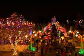 Lights Illuminating The Denver Botanic Gardens During The Holiday Garden Wedding Venue Colorado Wedding Venues Wedding Reception Venues