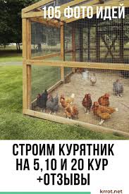 строим курятник зимний курятник на 10 кур своими руками чертежи фото Pin Na Doske Tualet