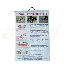 Snake Bite First Aid Chart On Flex