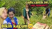 Pallavolo maschile olimpiadi / storia della pallav. Bongkar Jumlah Gaji Mandor Dikebun Kalapa Sawit Kalimantan Vlog Part 1 Youtube