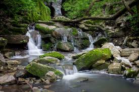 Maybe you would like to learn more about one of these? Cliff Cave County Park Trail In St Louis County Midwest Nomad Family