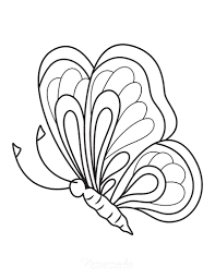 Butterfly chalk art any template cut out the butterfly outline. Outline Easy Side View Butterfly Drawing