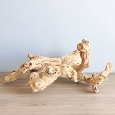 Sandblasted Grapevine Wood A Great Natural Display For Air Plants Air Plant Display Air Plants Grape Vines