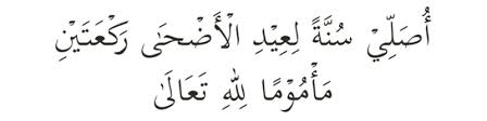 Solat sunat aidil adha (hari raya korban) digalakkan diawalkan waktunya bagi memberi lebih banyak masa untuk penyembelihan haiwan koban. Solat Sunat Raya Aidiladha Panduan Lengkap Rumi Aku Islam