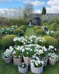 See all books authored by gina phillips, including bees and butterflies (busy bugs giant sparkle books), and lucas and the circus, and more on thriftbooks.com. Gina Gncgarden Instagram Denmark Garden White Narcissus The Glam Pad