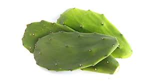 Although this tutorial is geared towards. 12 Oz Fresh Tortoise Turtle Iguana Reptile Super Food Spineless Opuntia Prickly Pear Cactus Buy Online In Papua New Guinea At Papua Desertcart Com Productid 70179700