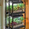 Having an indoor vegetable garden allows us to connect with our food in new ways and interact with nature every day. 1